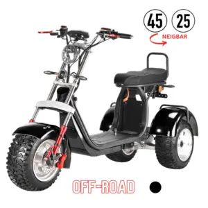 COCO BIKE CP-7 CROSS ELEKTRO-TRIKE 25-45 KM/H