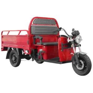 VOLTA VT5 ELEKTRO-LASTENDREIRAD 25-45 KM/H