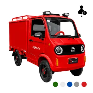 AMOTO PICKUP YB MIT BOX ELEKTRO-NUTZFAHRZEUG 40 KM/H