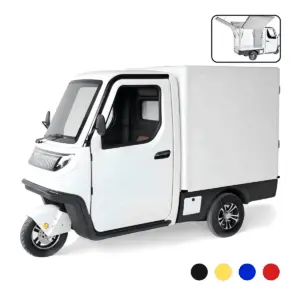 URBAN FSW023 ELEKTRO-LASTENDREIRAD 25-45 KM/H
